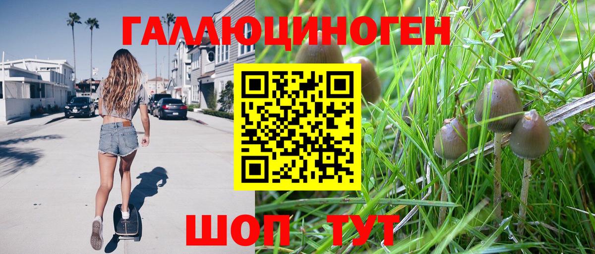Галлюциногенные грибы мицелий  Вход с VPN  Ейск  Псилоцибиновые грибы Psilocybe 